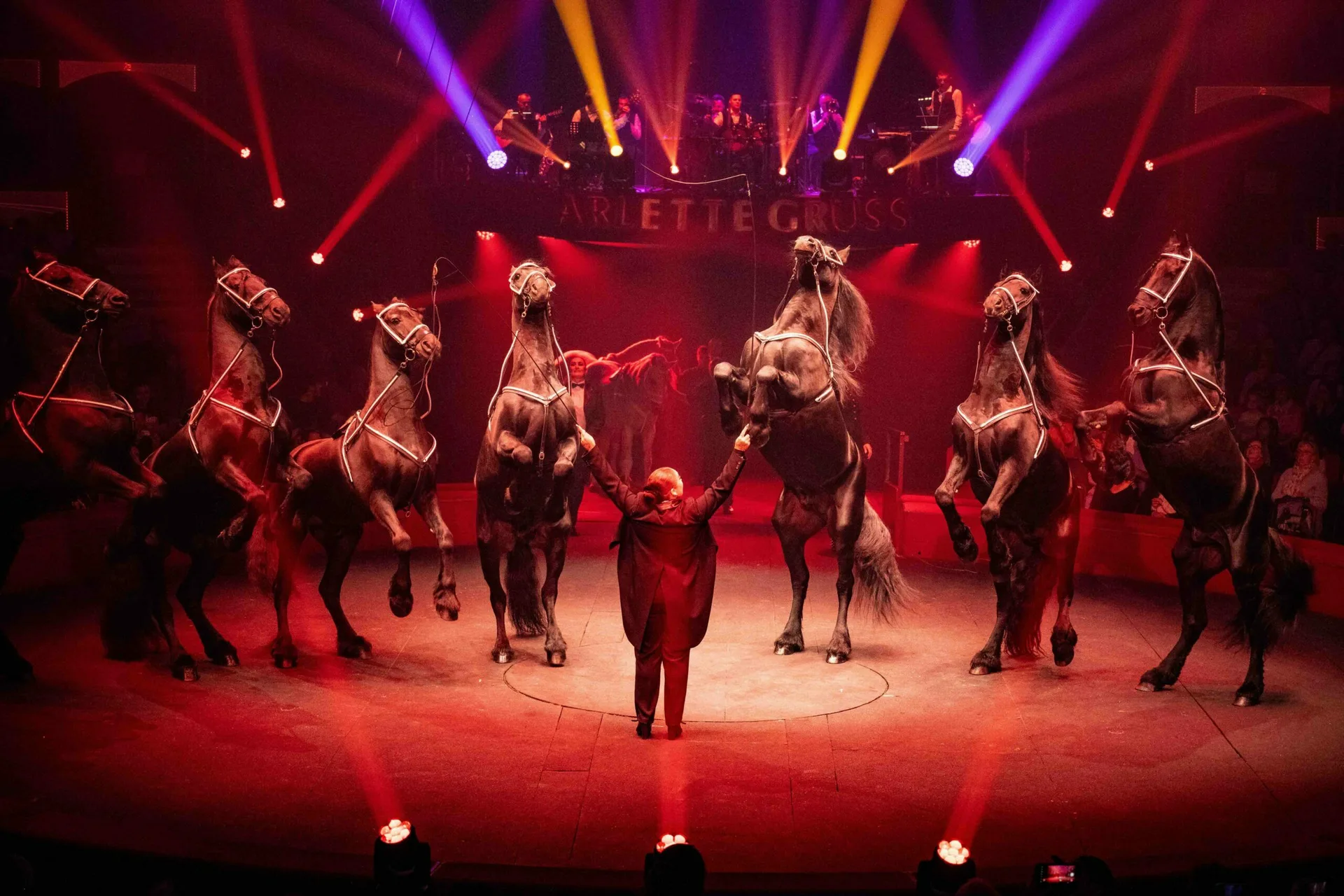 Le Cirque Arlette Gruss débarque à Rouen pour ses 40 ans : un spectacle magique à ne pas manquer !