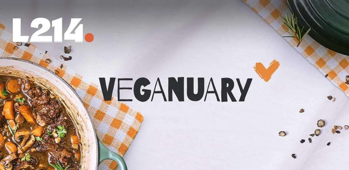 Découvrez le mois Vegan à Rouen !