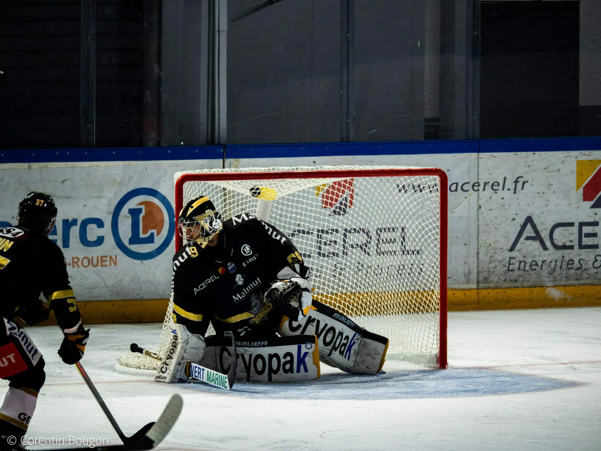 Les Dragons de Rouen renversent tout et filent en finale de la Coupe de France !