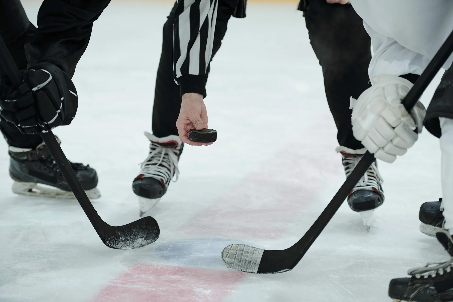 Les Dragons de Rouen écrasent Gap 10-2 et terminent premiers de Ligue Magnus