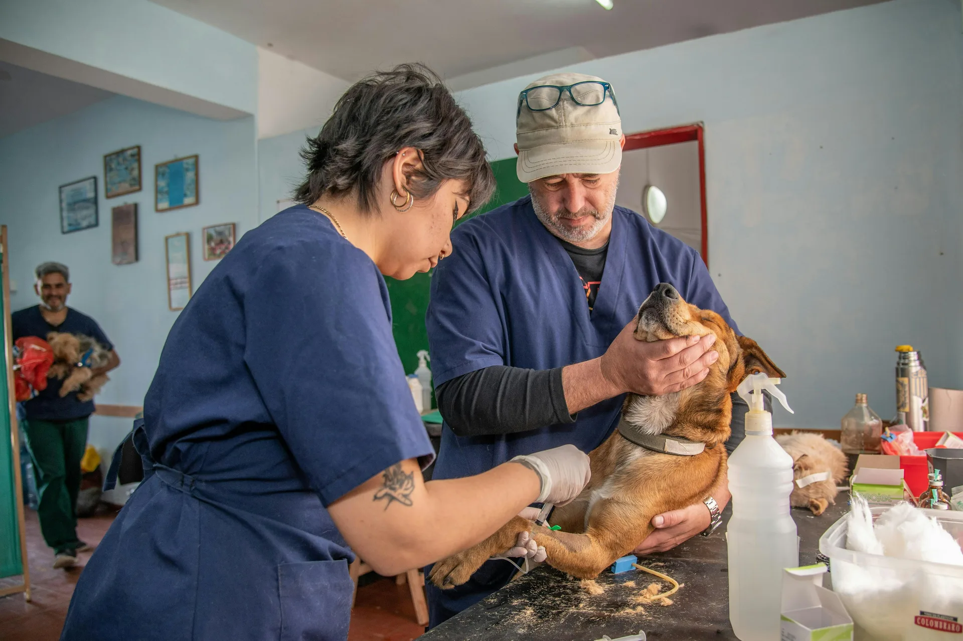 À Rouen, des soins vétérinaires gratuits pour les animaux des personnes les plus démunies
