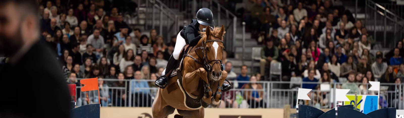 Equi Seine revient à Rouen : quatre jours de chevaux, de shows et d'adrénaline au Parc des Expos